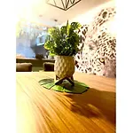 Planta Baja Enorme, Jardin, Parking, Hasta 11 Pax