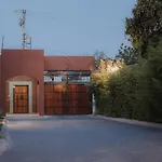 Alegrias De San Pedro.