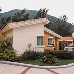 Seis Agaves