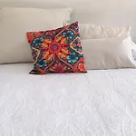 Beautiful Loft Guadalajara Style