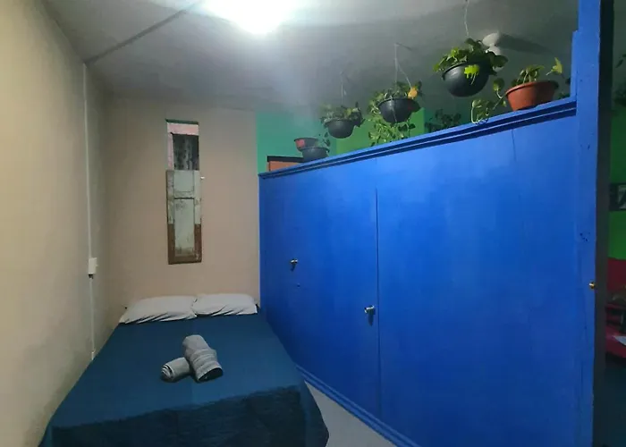 Huerto En El Barrio