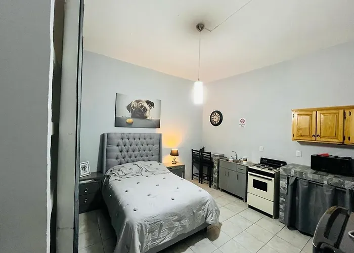 New Apartment In Downtown Guadalajara