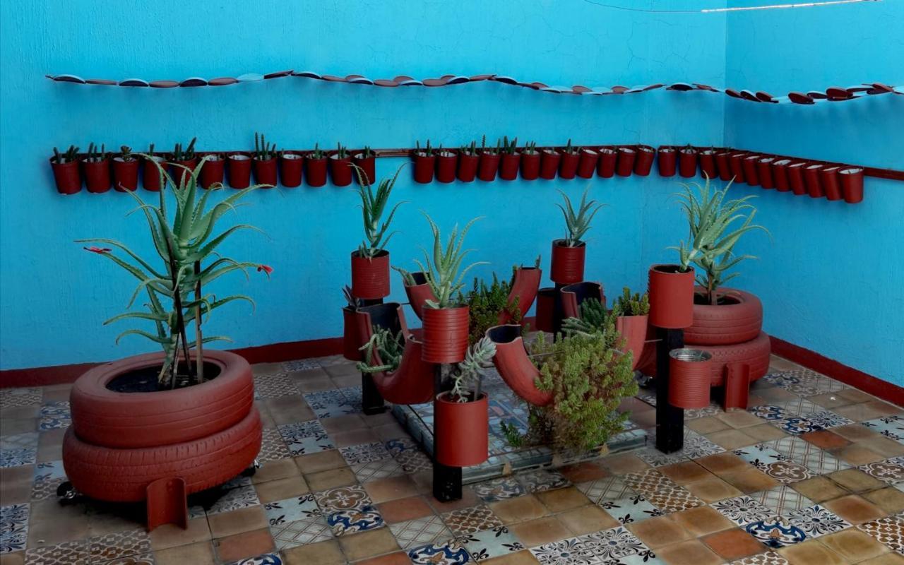 Guest house The Roof Backpackers Guadalajara