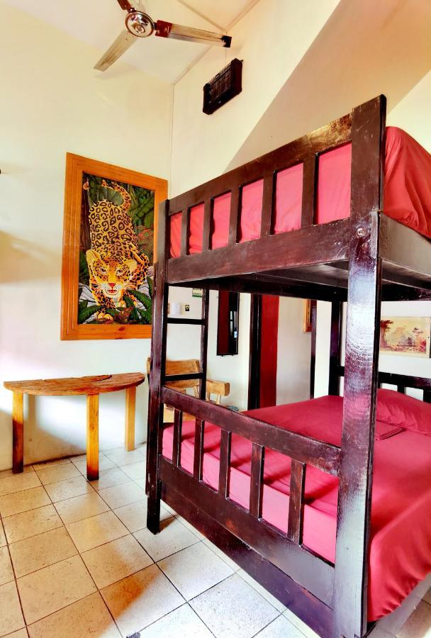 The Roof Backpackers Guest house Guadalajara