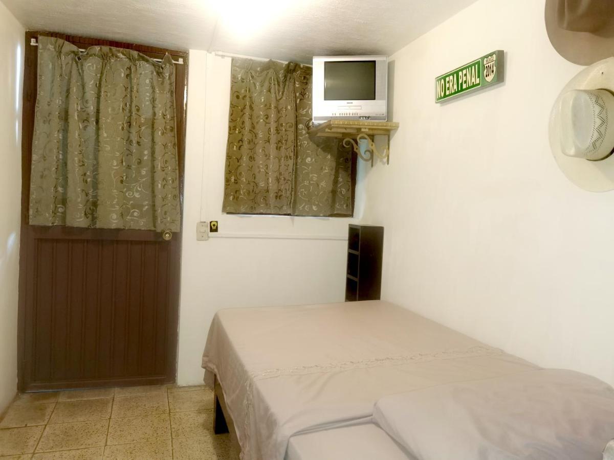 Guest house The Roof Backpackers 2*