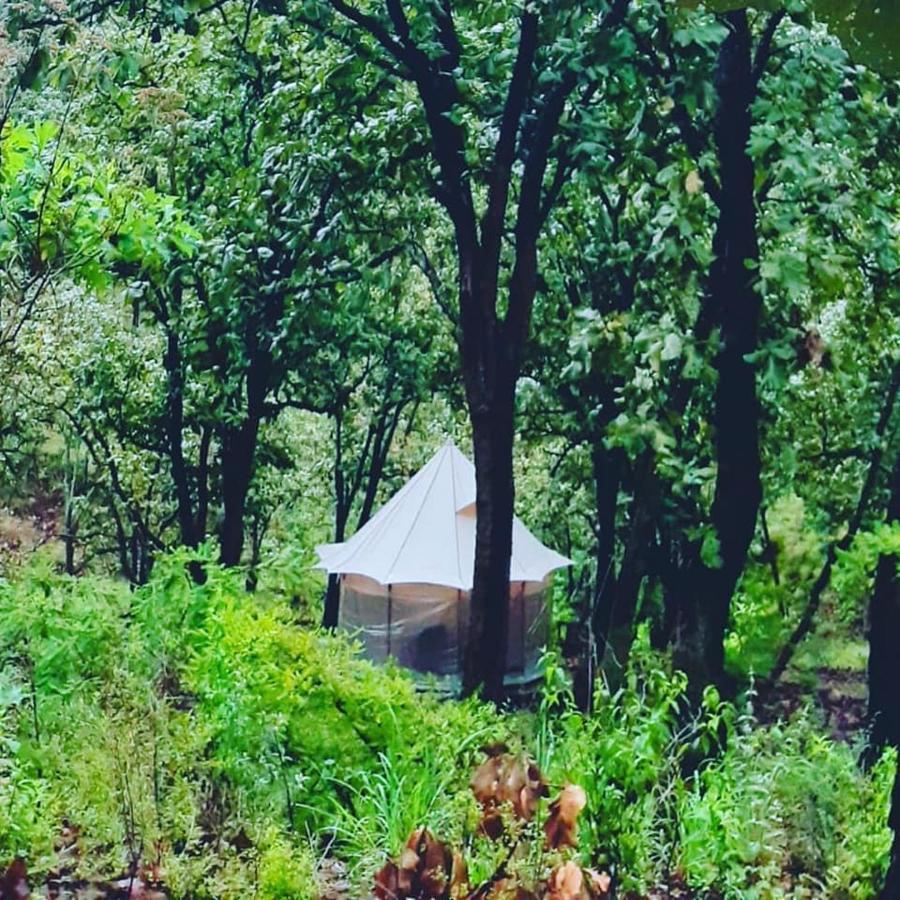 Luxury tent Glamping Y Cenas Romanticas Guadalajara