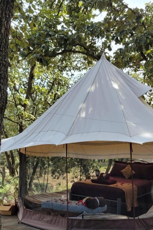Glamping Y Cenas Romanticas Guadalajara