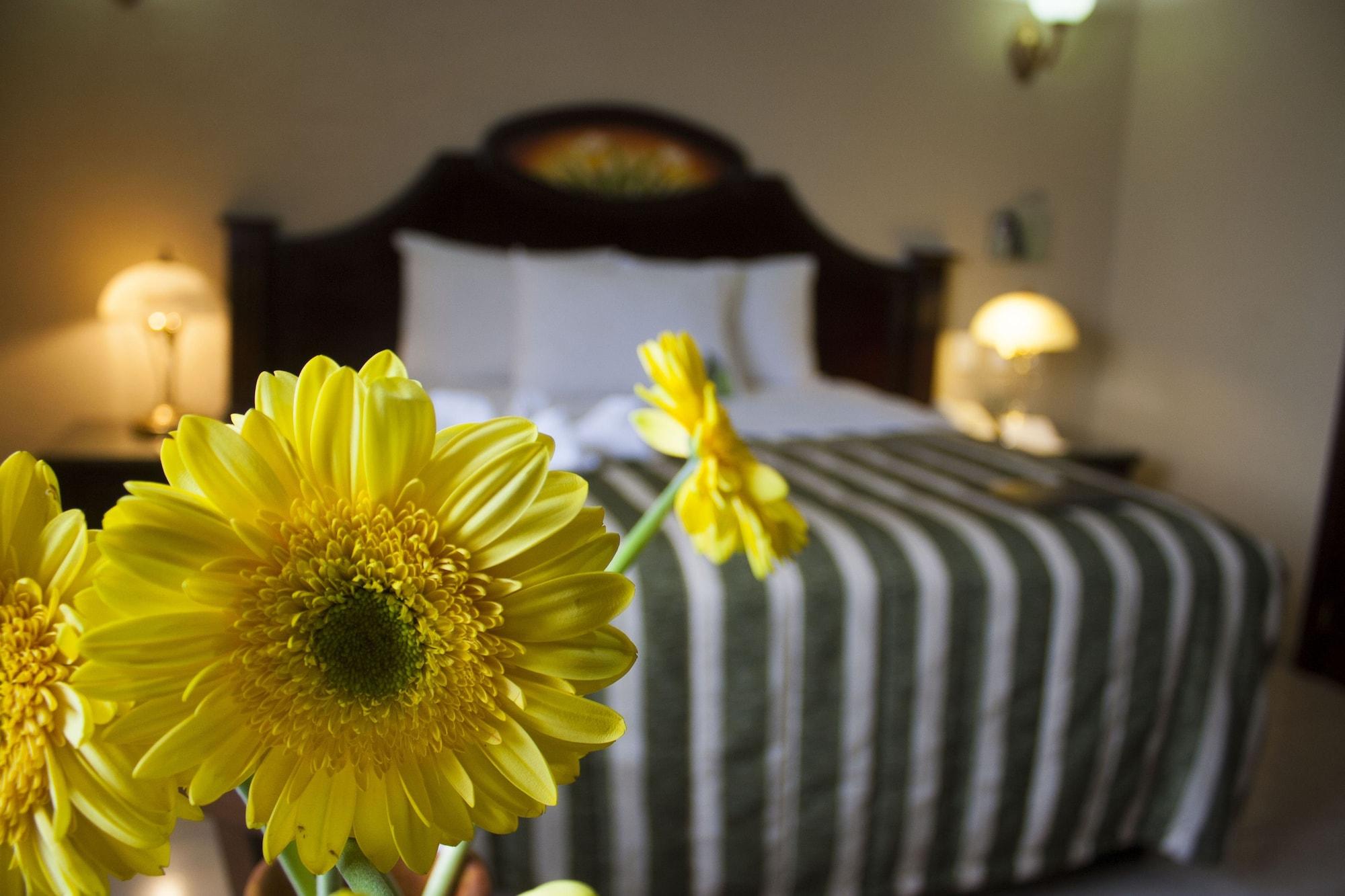 Casino Plaza 4*