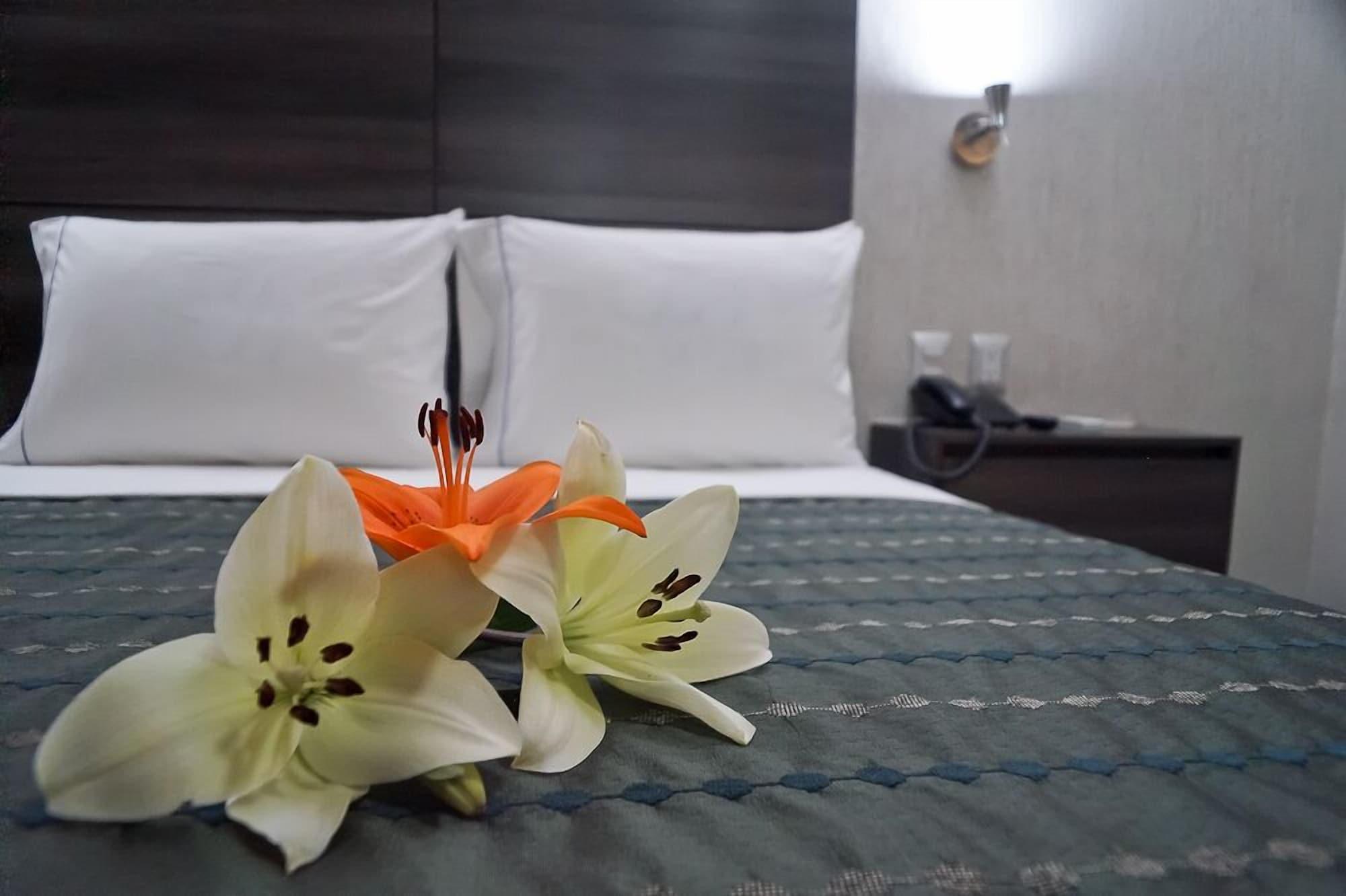 Expo Abastos Hotel 3*