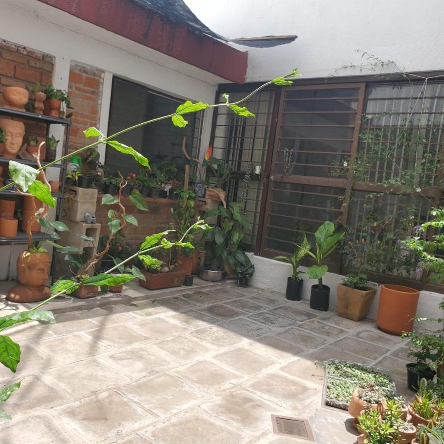 Casa Fuentes, Zapopan * Guadalajara