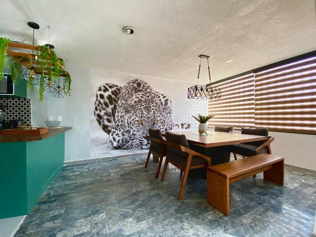 Apartment Planta Baja Enorme, Jardin, Parking, Hasta 11 Pax *