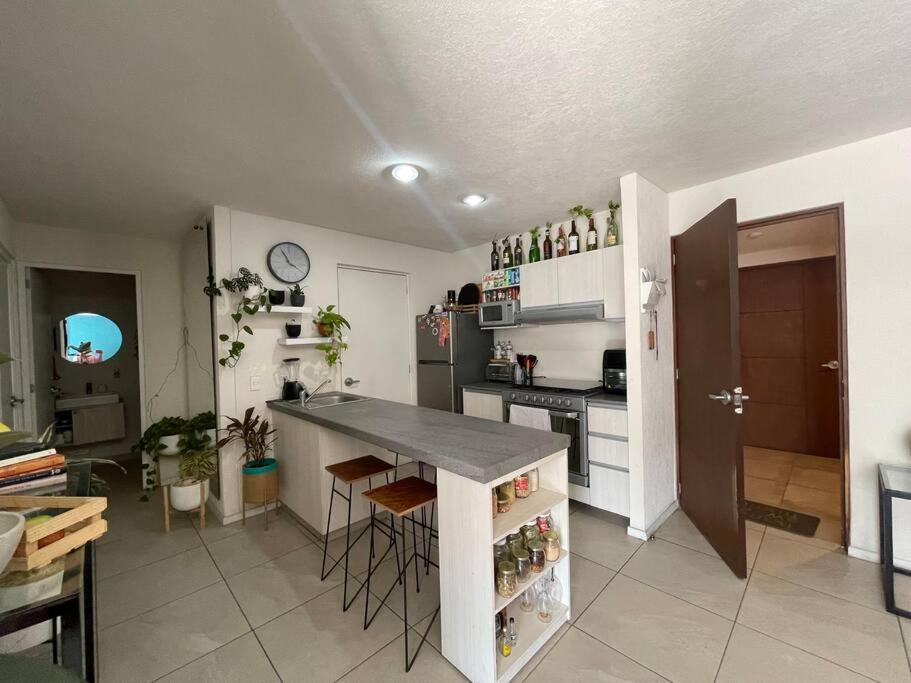 Maravilia Depto. Guadalajara