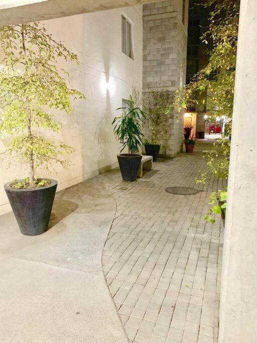 Apartment Loft Venado “hospicio Y Centro Joyero” Guadalajara