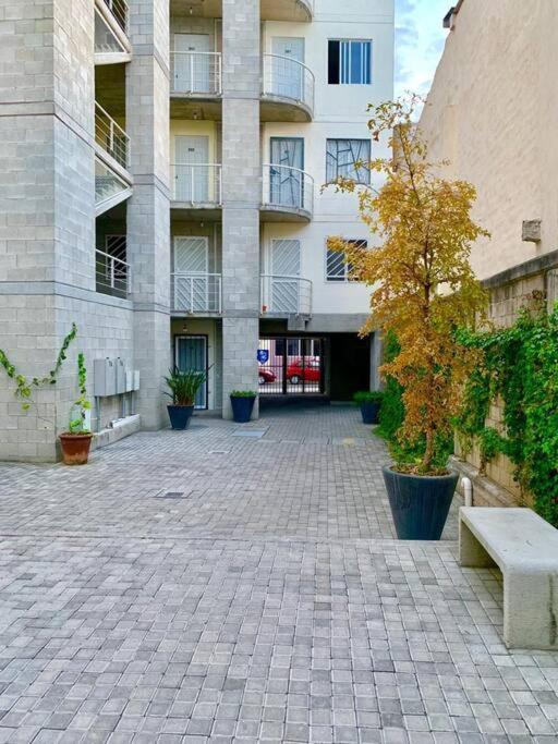 Loft Venado “hospicio Y Centro Joyero” * Guadalajara