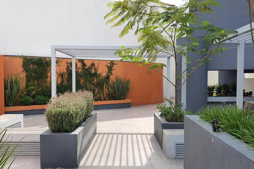 Apartment Depa Nuevo En El Corazon De Gdl Con Seguridad Y Alberca Guadalajara