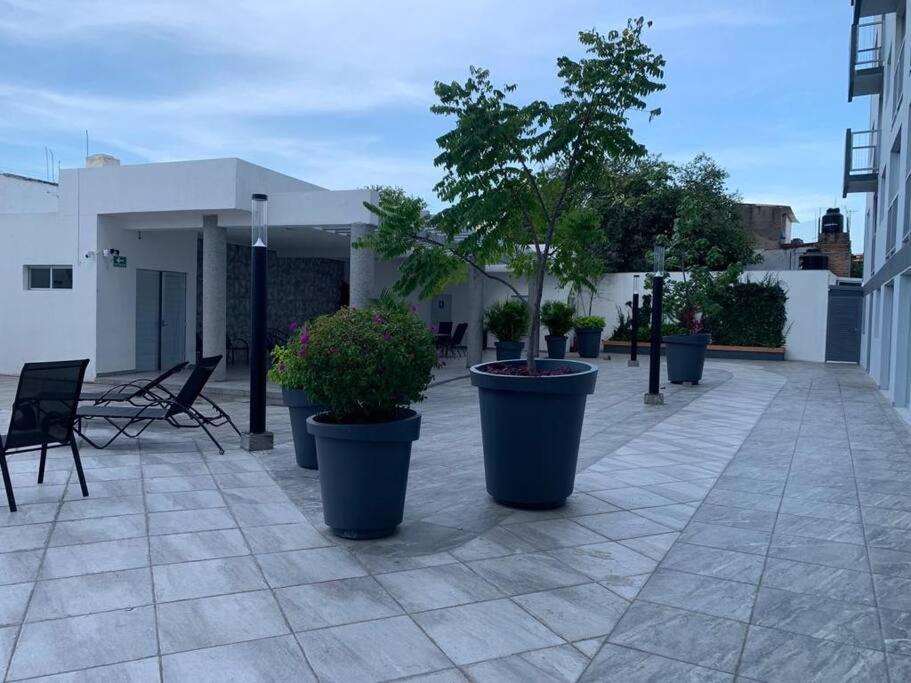 Depa Nuevo En El Corazon De Gdl Con Seguridad Y Alberca Apartment Guadalajara