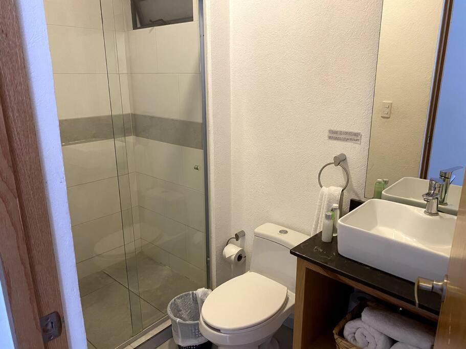 Apartment Chapultepec Habitance Pool, Parking, Speed Wifi *
