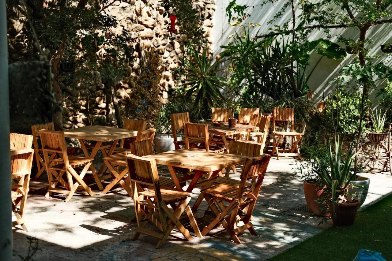 Leveli Coliving Hostel *