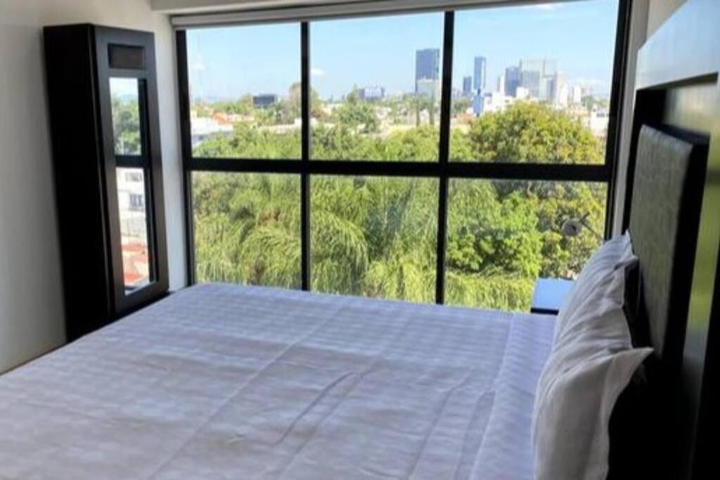 Chapultepec Habitance Pool, Parking, Speed Wifi * Guadalajara