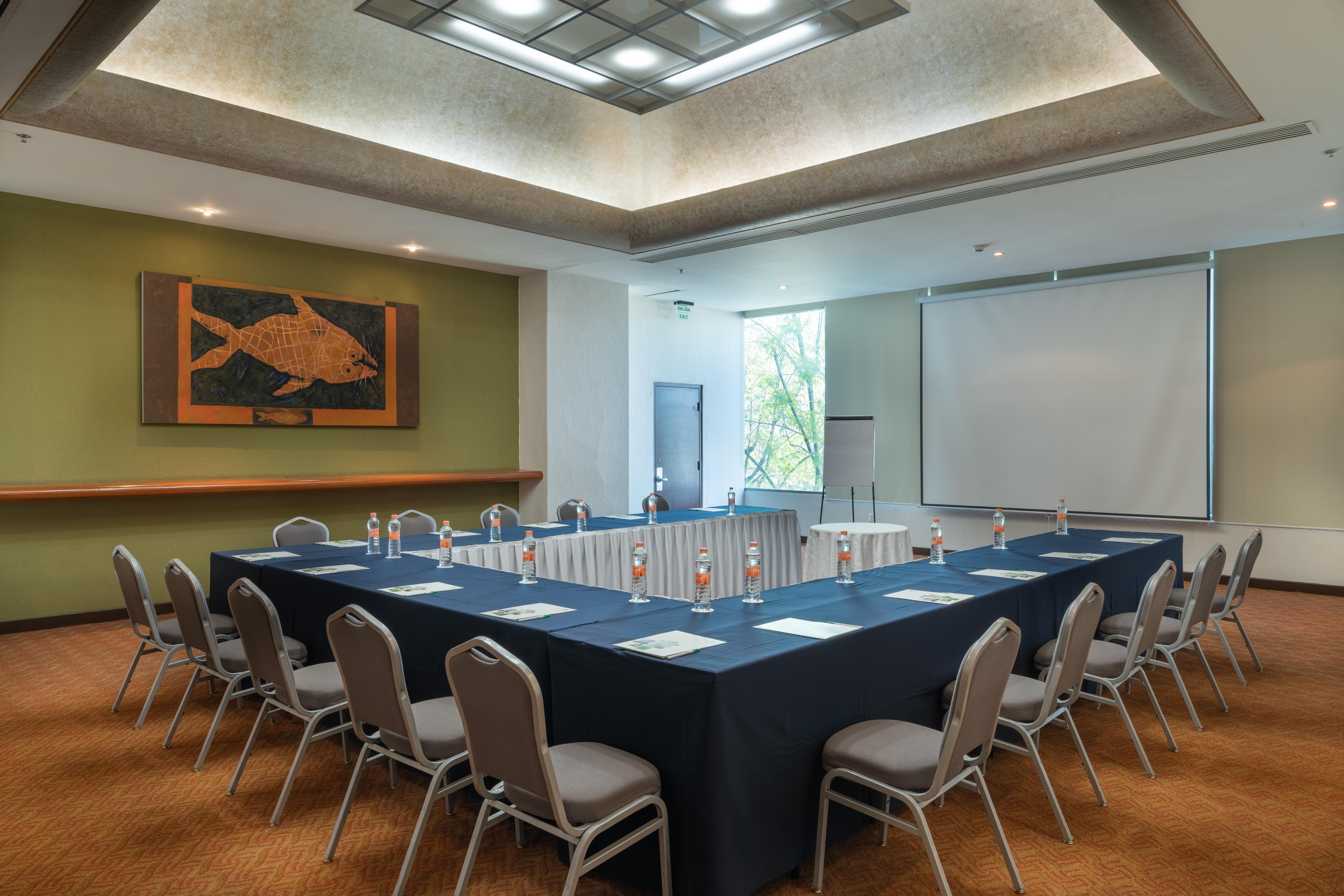 Holiday Select By Ihg 4* Guadalajara
