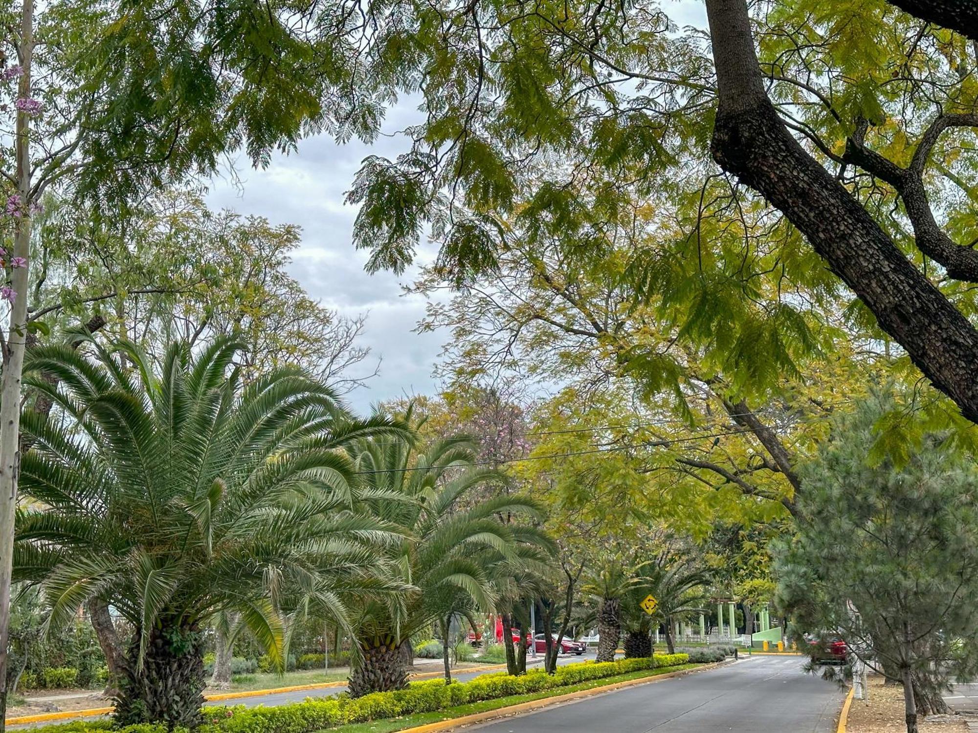Estudio En Chapalita Estilo Y Confort Total 03 * Guadalajara