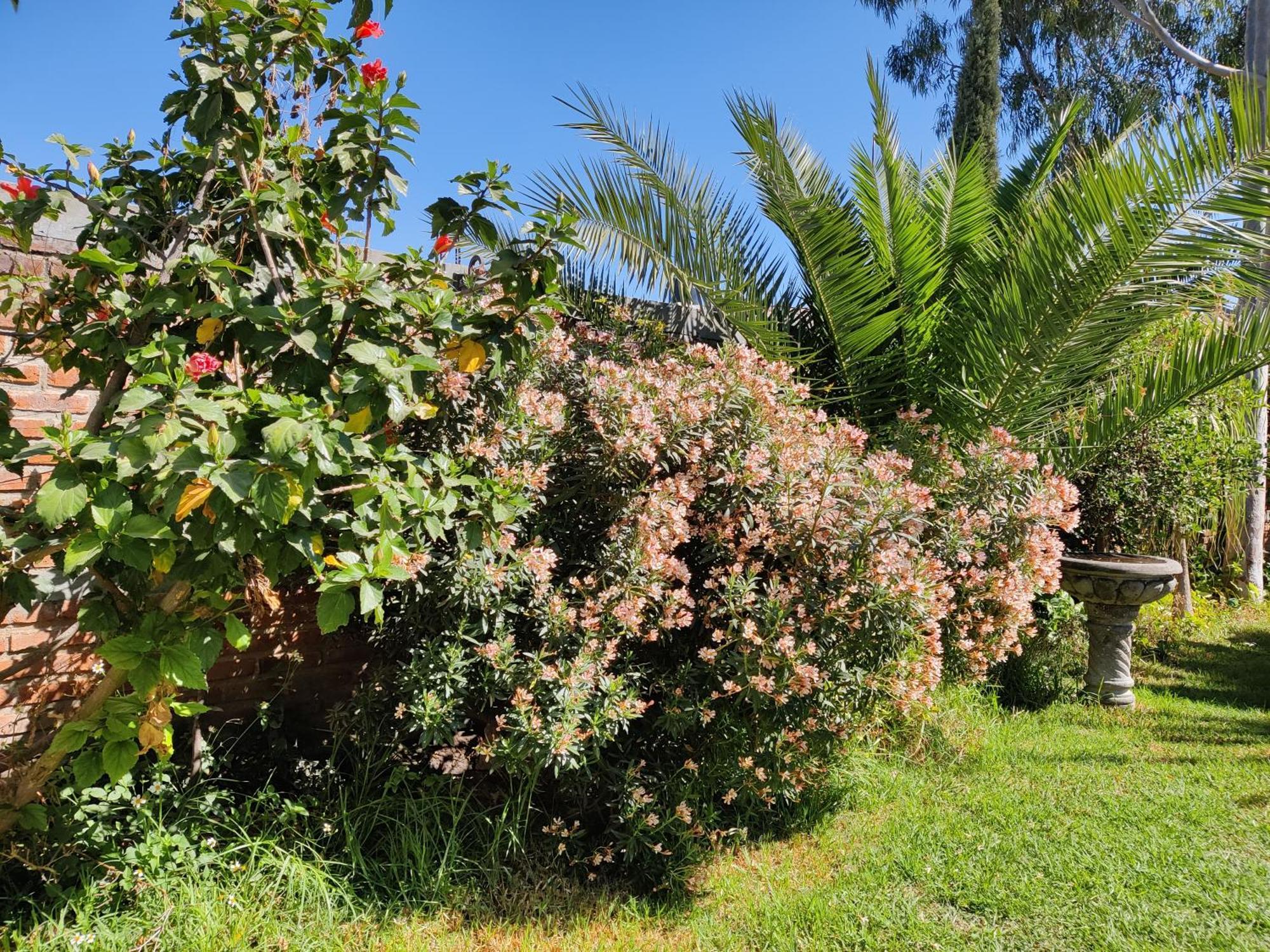 Casa Jardin Apartment *