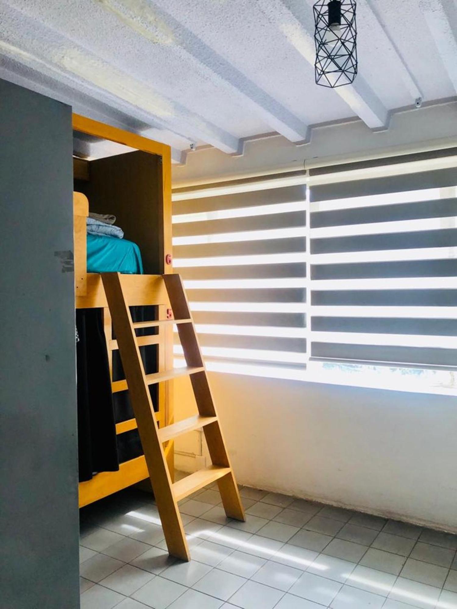 Hostel Leveli Coliving