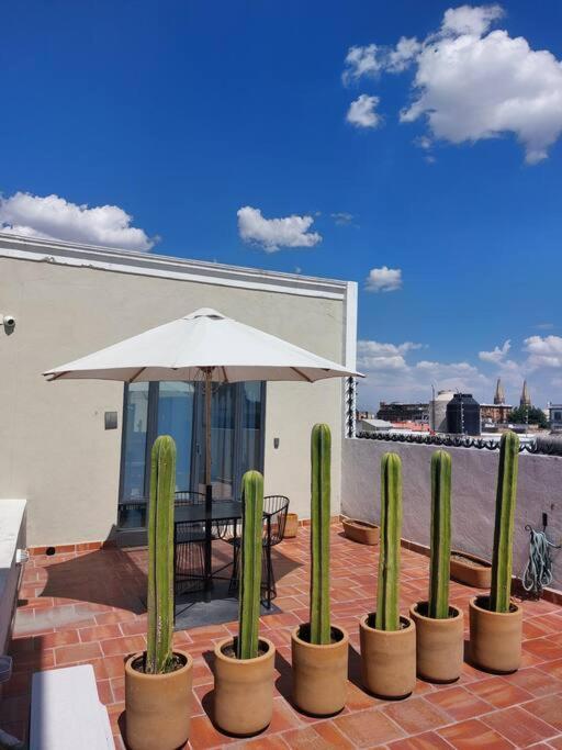 Casa Monarcas - Diana Apartment *