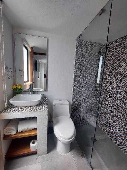 Casa Monarcas - Diana Apartment Guadalajara