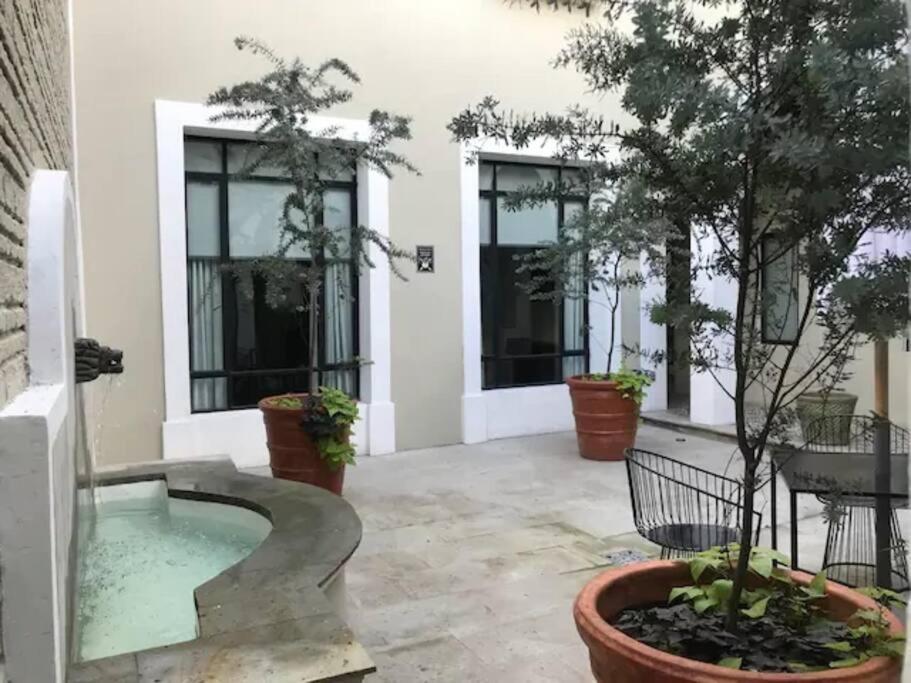 Casa Monarcas - Diana Apartment