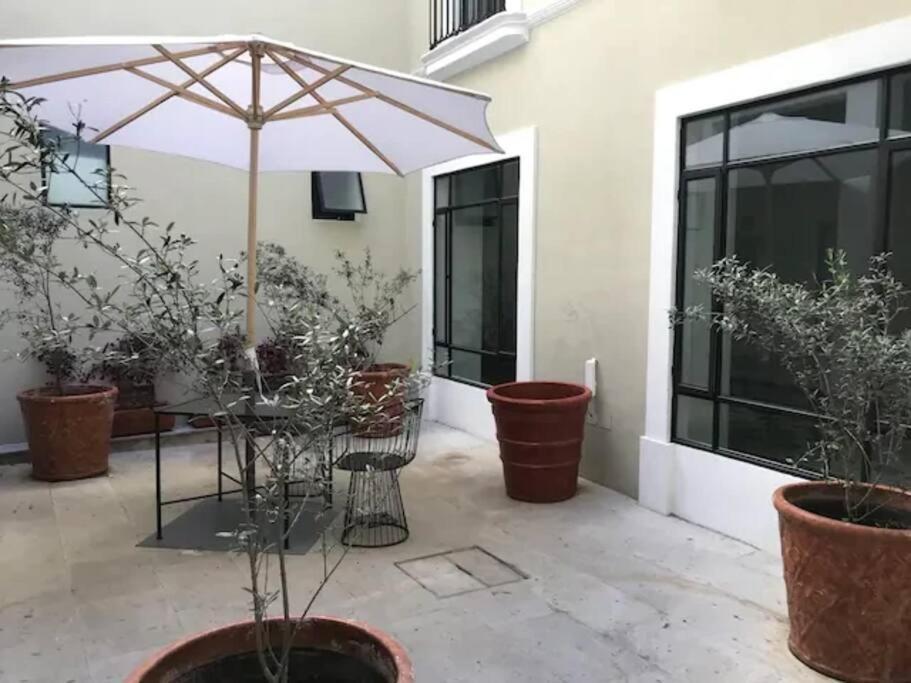 Casa Monarcas - Diana Apartment *