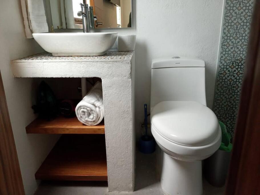 Casa Monarcas - Diana Apartment *