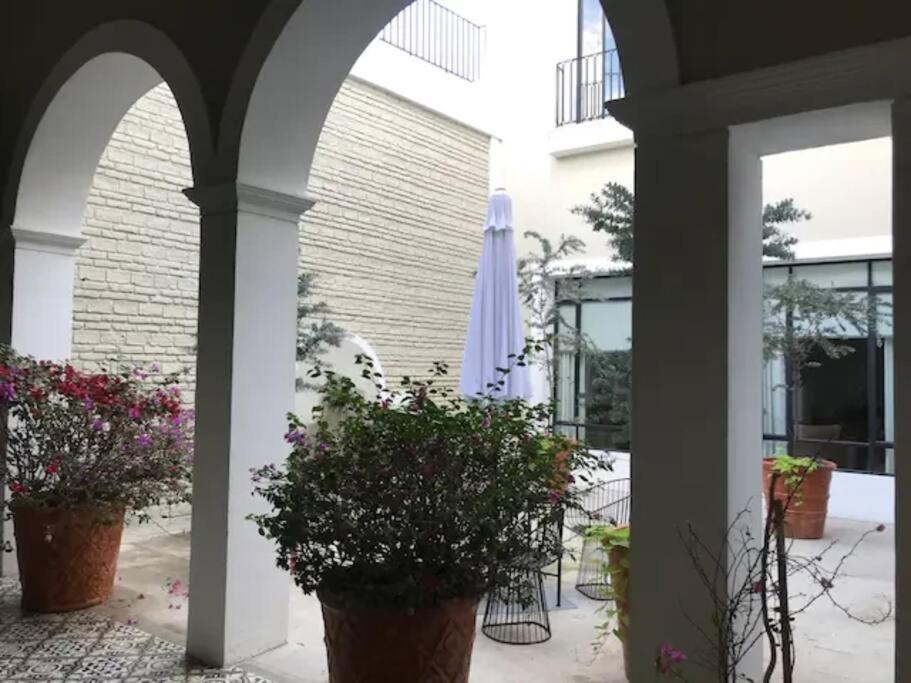 Apartment Casa Monarcas - Diana *