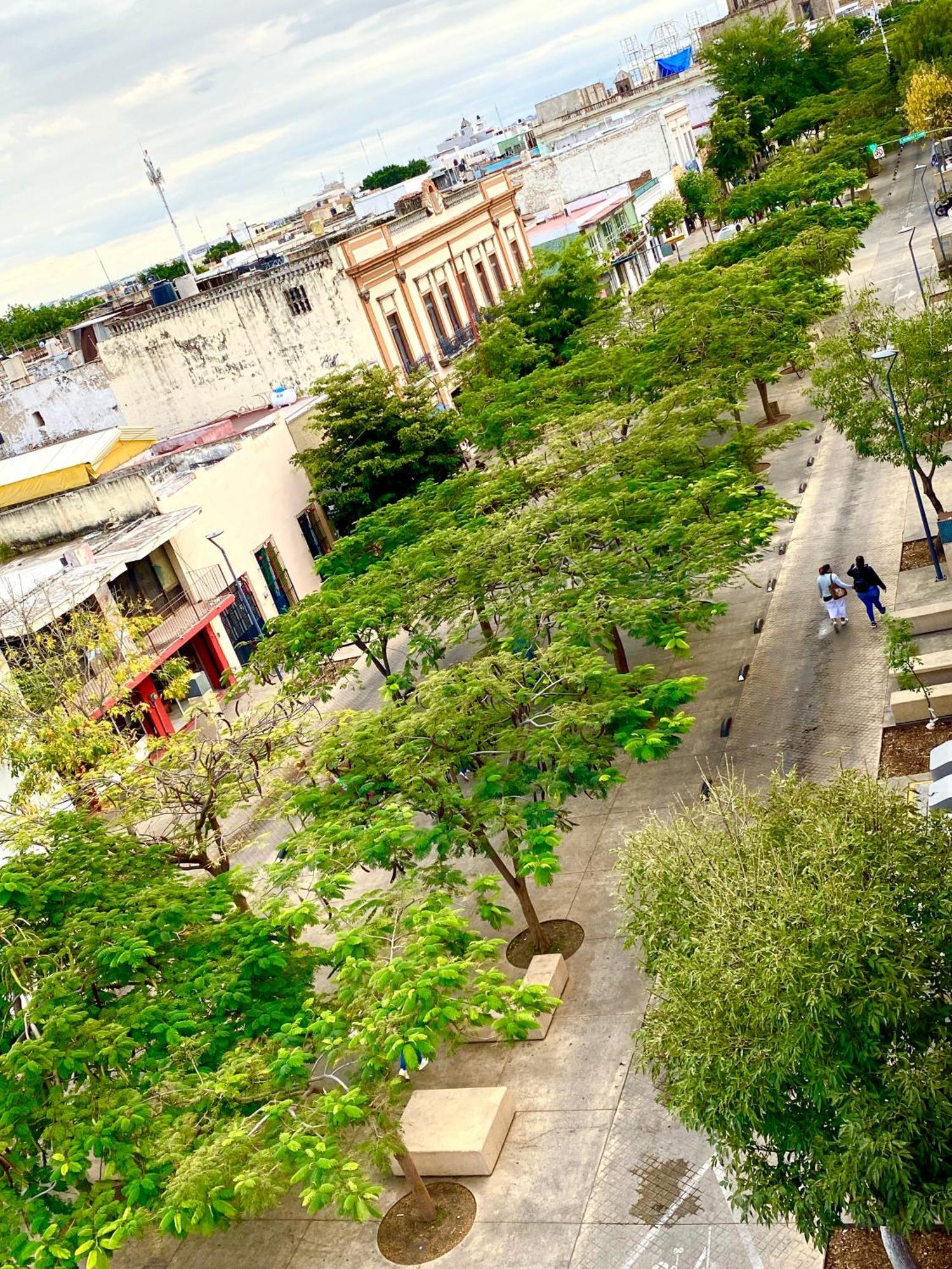 Casa de hóspedes Santuario De Libelulas *