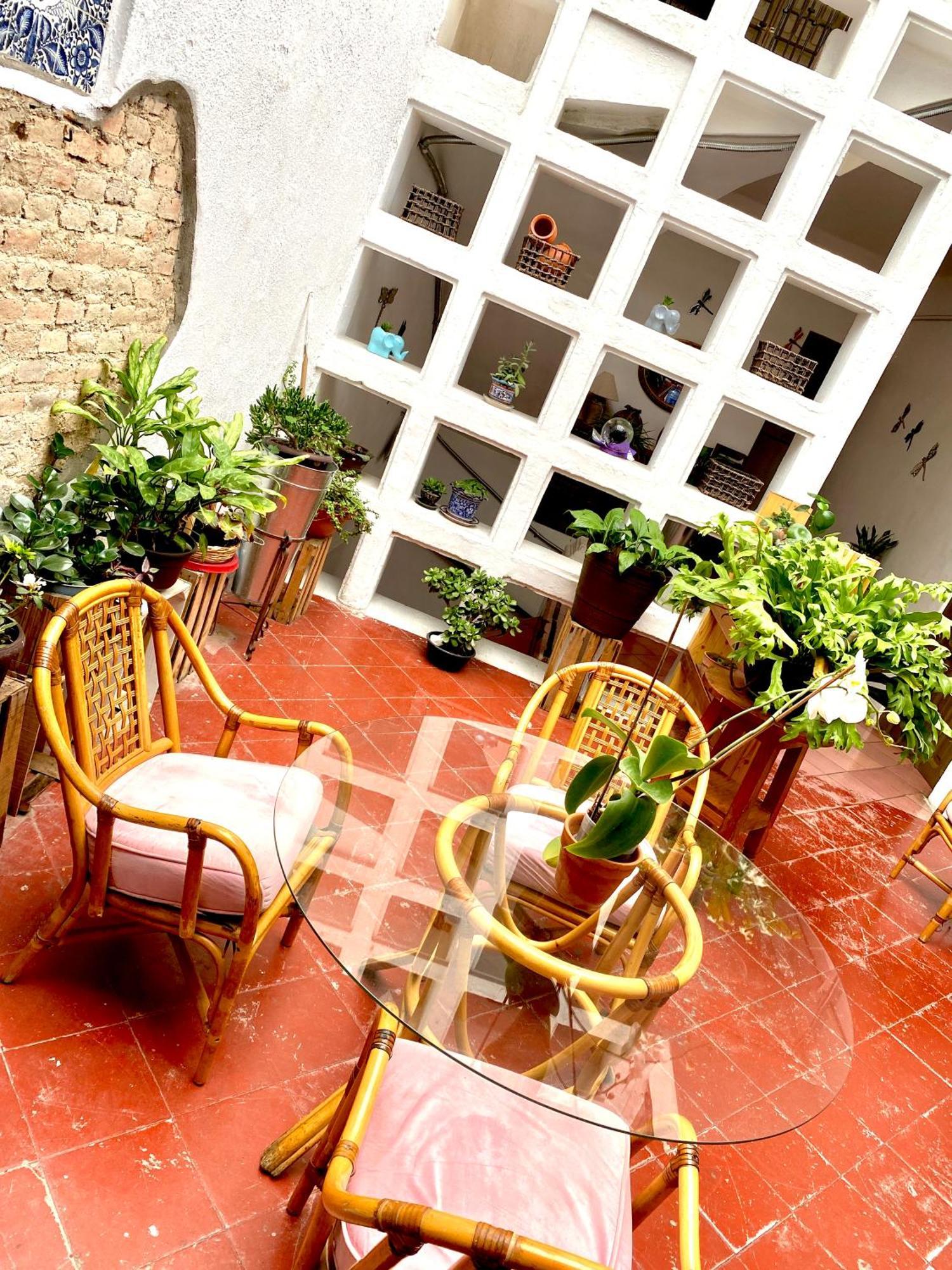 Santuario De Libelulas Casa de hóspedes