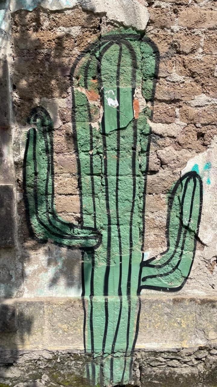 Cordoba By Pardela - Loft Nuevo Colonia Americana *