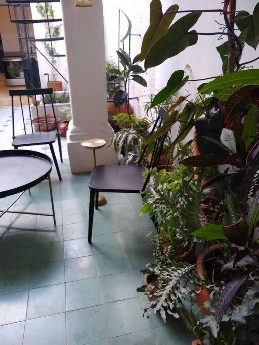 Casa Cuauhtemoc Сasa de vacaciones Guadalajara