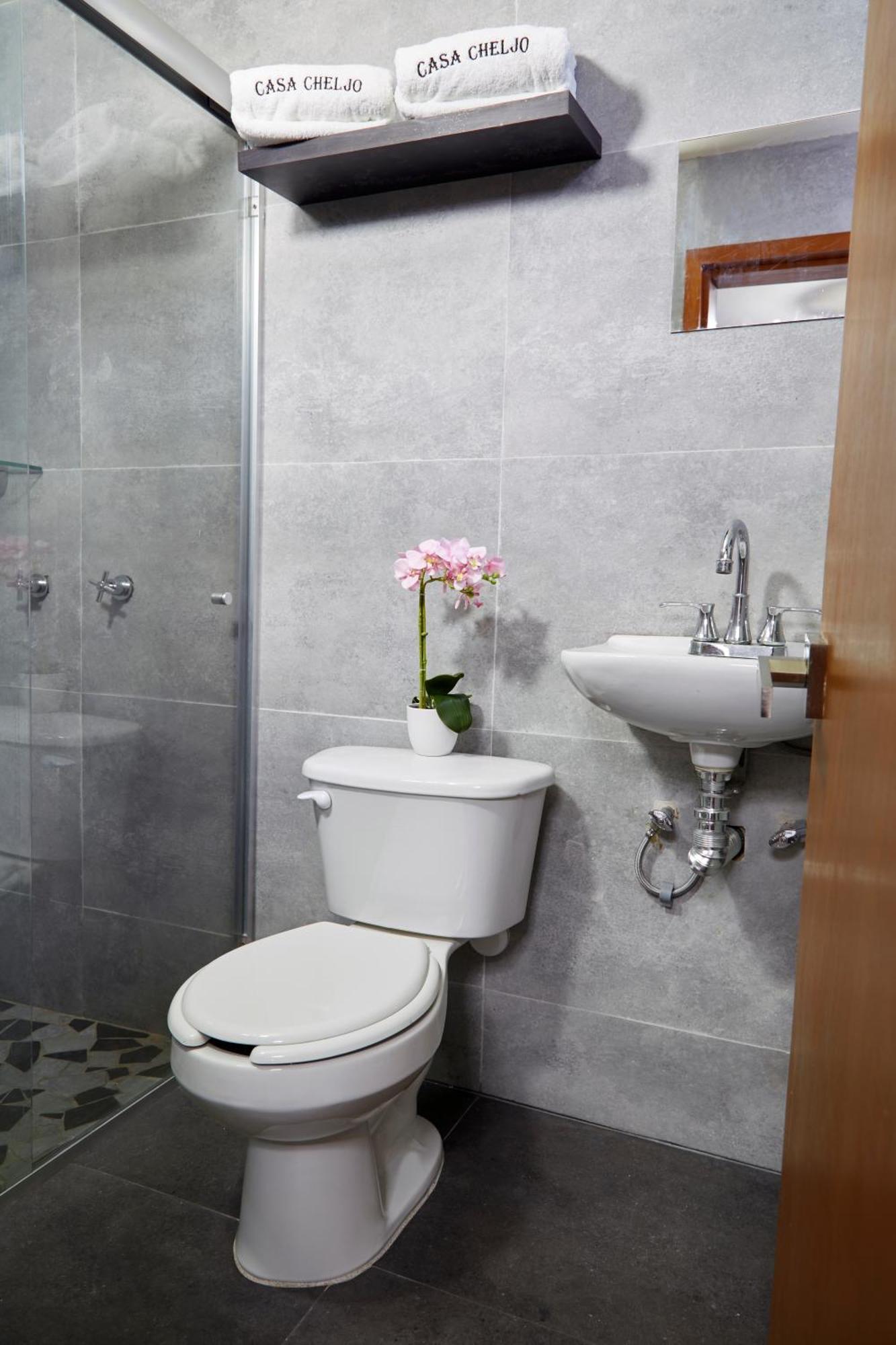 Guest house Casa Cheljo *