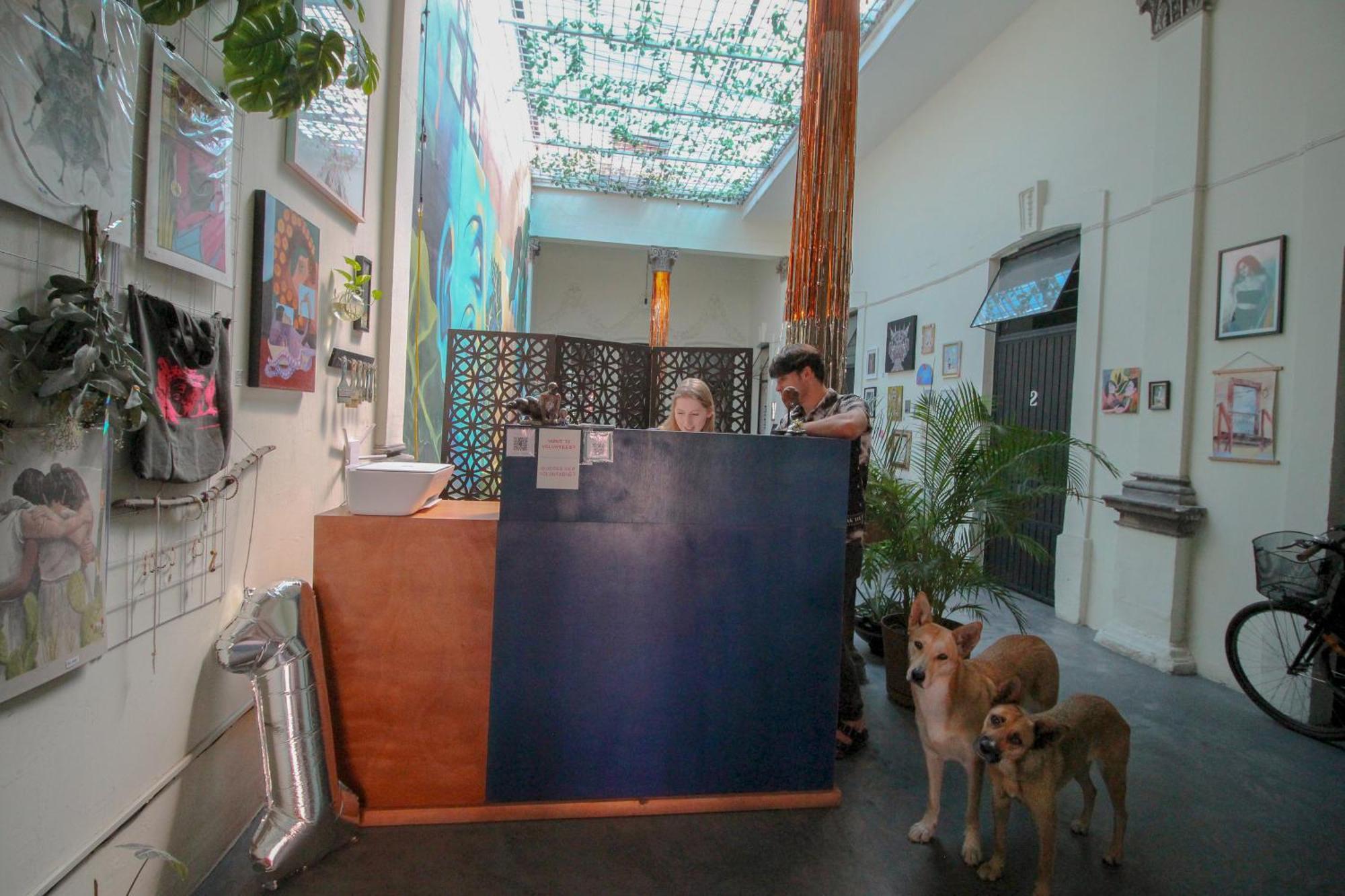 Hostel Art House Guadalajara