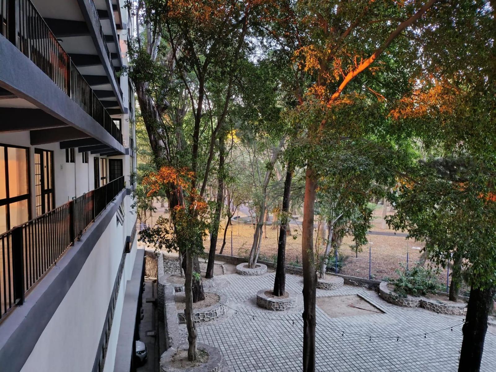 Azul Y Guadalajara! Apartamento Guadalajara
