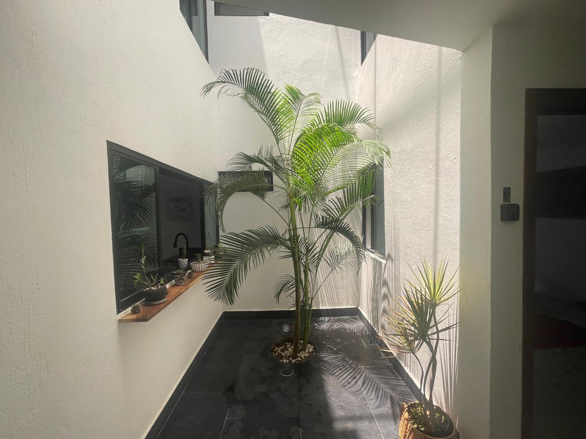 Casa Gran Plaza, Hermosas Y Comodas En El Corazon De Homestay Guadalajara