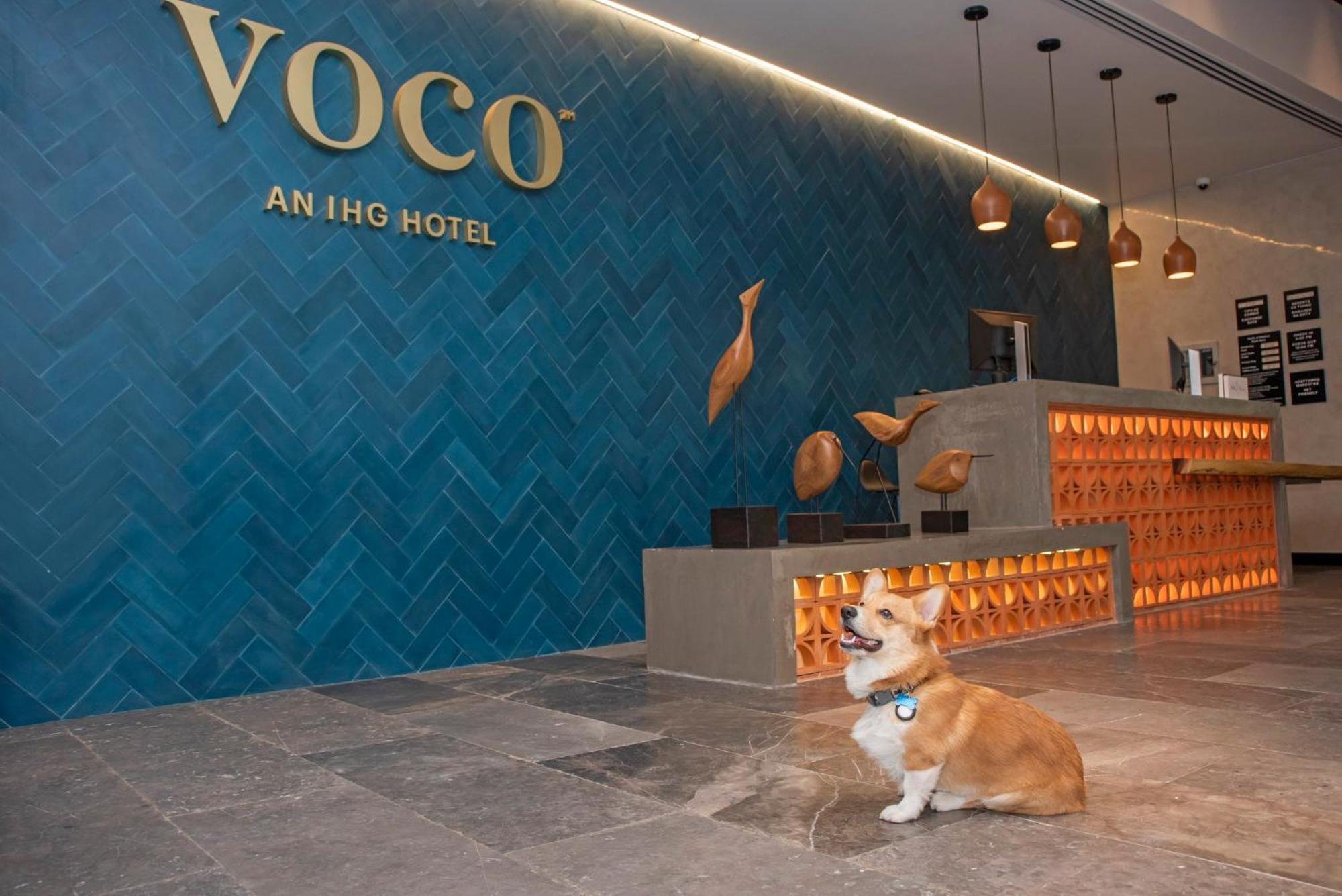 Hotel Voco Neruda By Ihg 4*