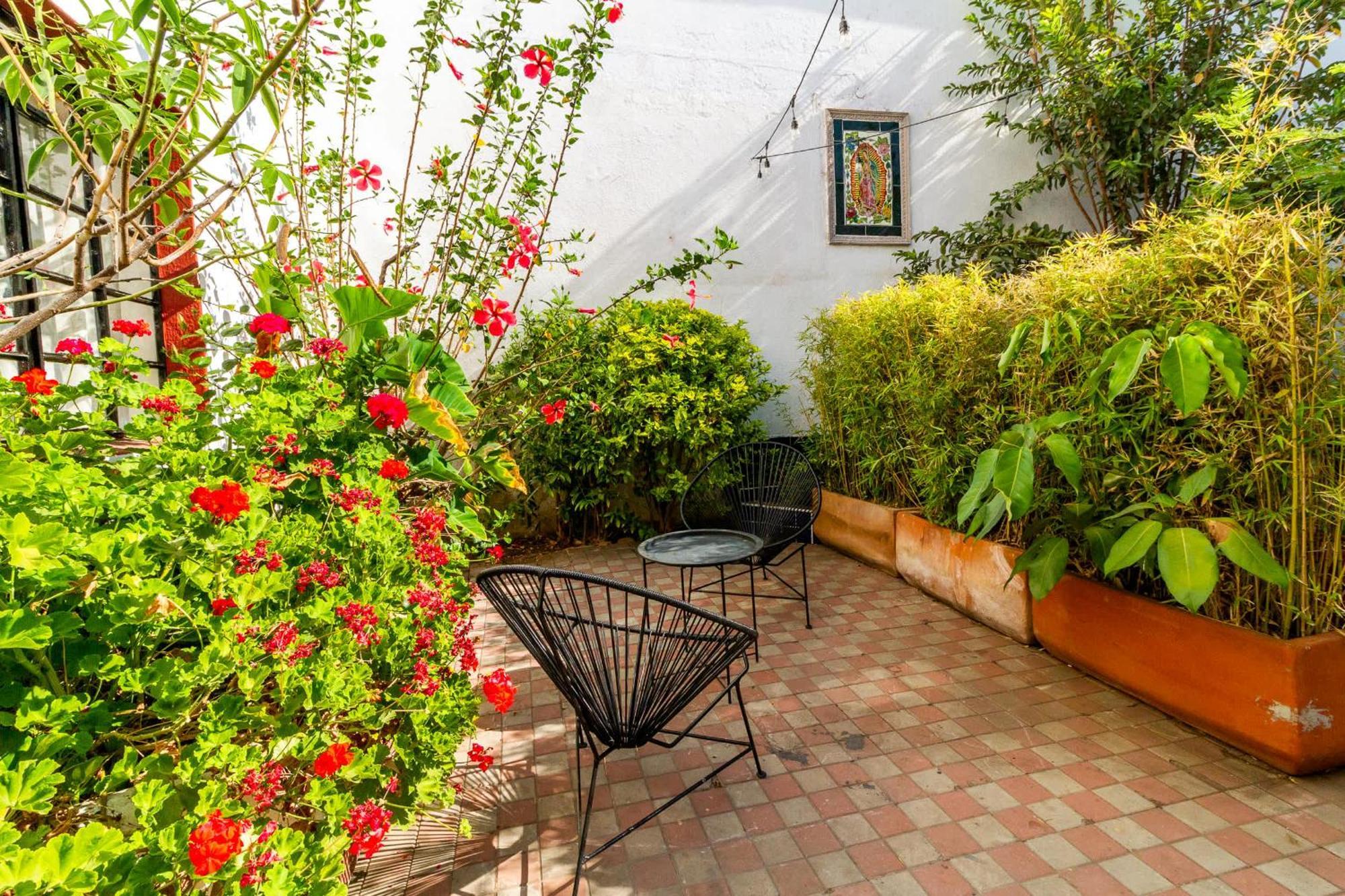 Apartment Charming In Colonia Americana With 1 Bedroom