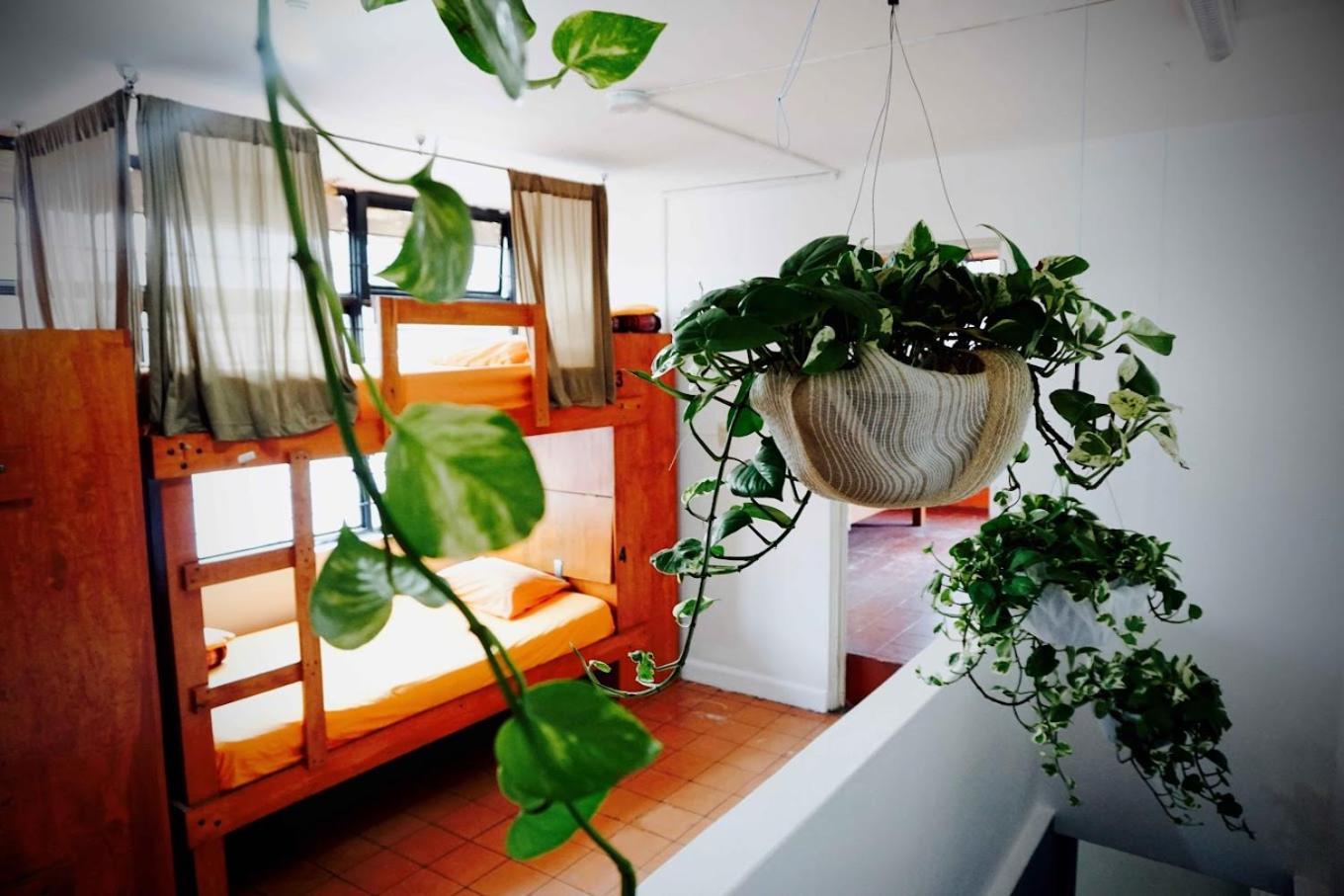 Hostel Bluepepper Guadalajara