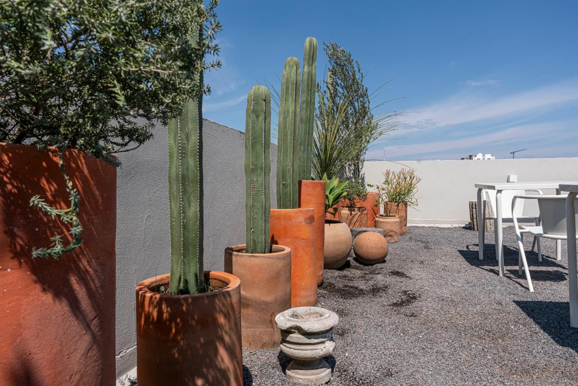 Apartment Casa Teresa By Barrio Mexico Guadalajara