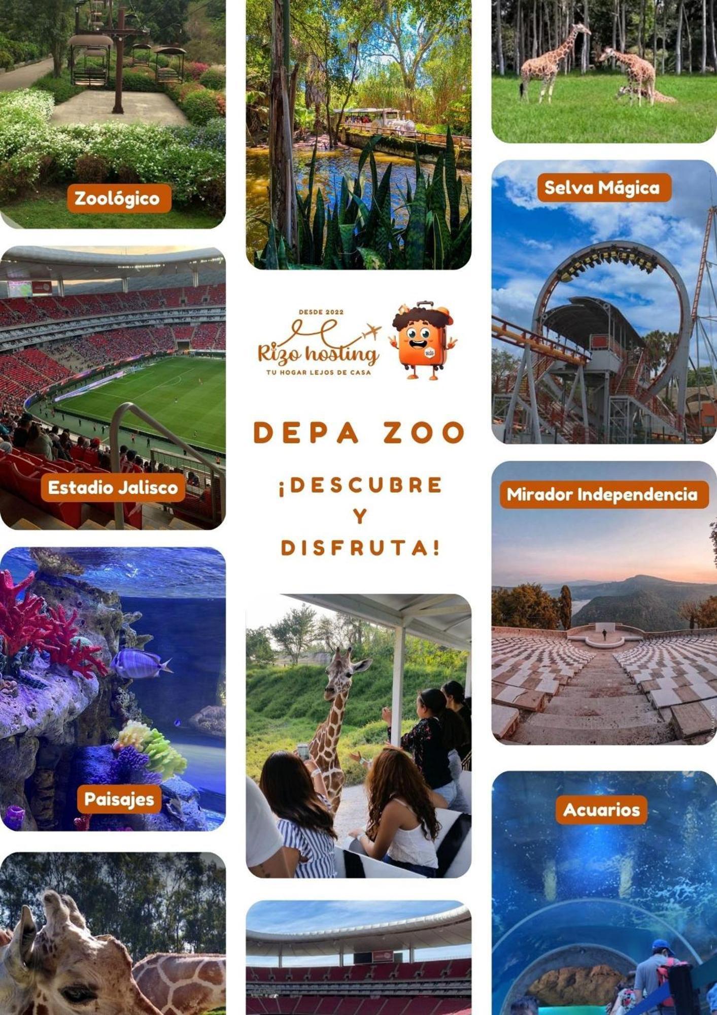 Apartment Departamento Cerca De Zoologico Y Estadio Jalisco
