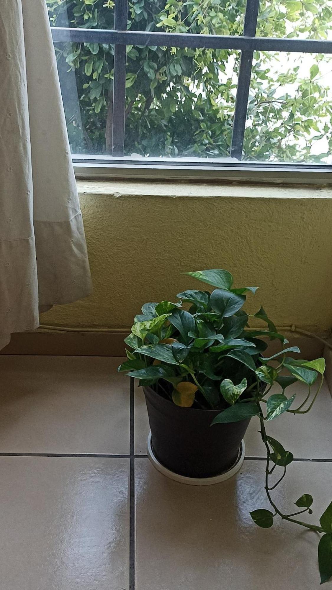 Departamento Tapatio *