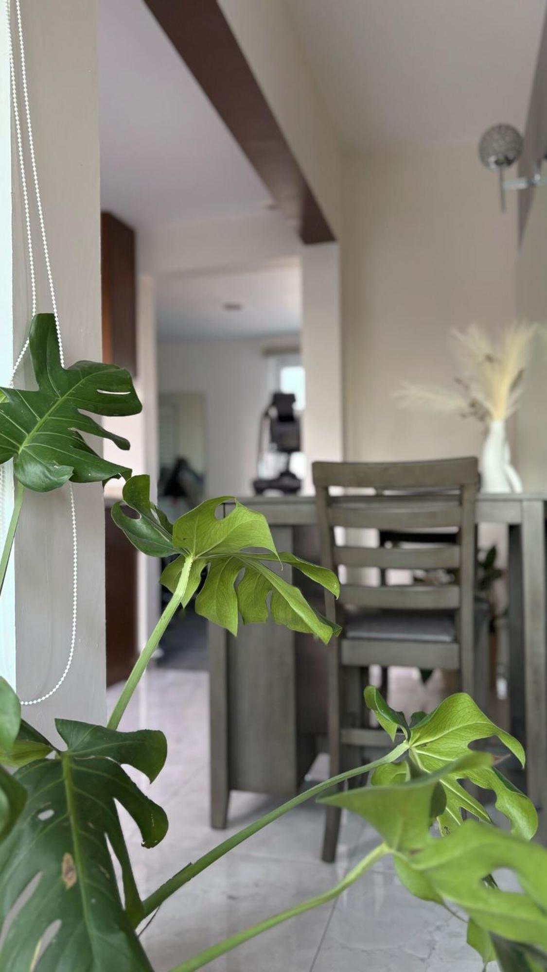Penthouse Near Expo Apartment Guadalajara