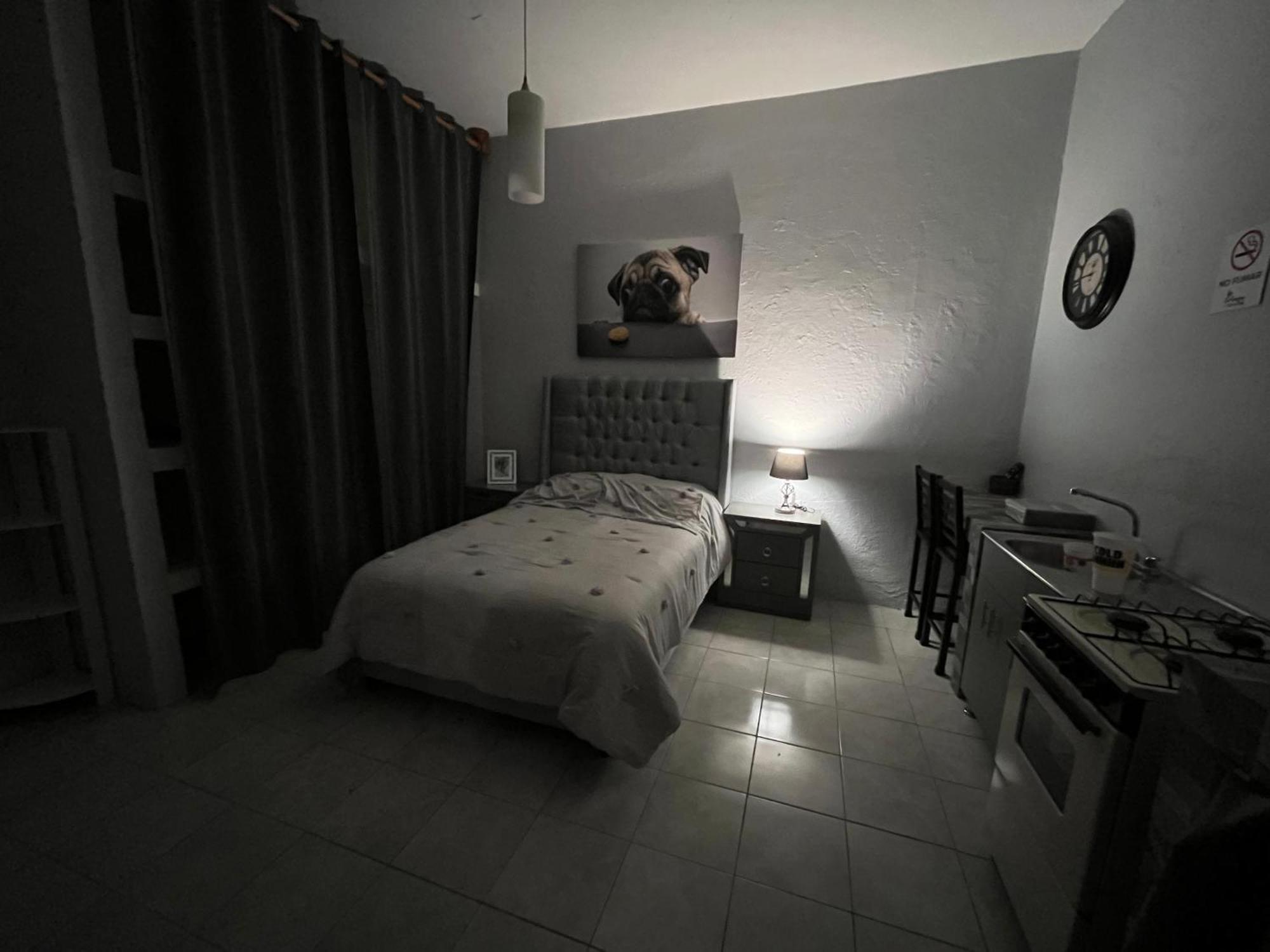 Apartment New In Downtown Guadalajara