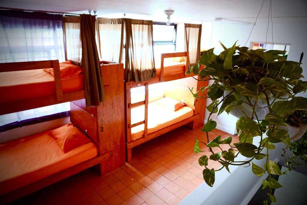 Hostel Blue Pepper Chapultepec *